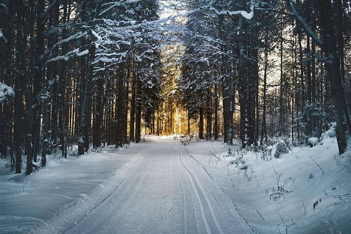 CROSS-COUNTRY SKIING: Winter trip to Bohemia mountains - Photo 1 of 11